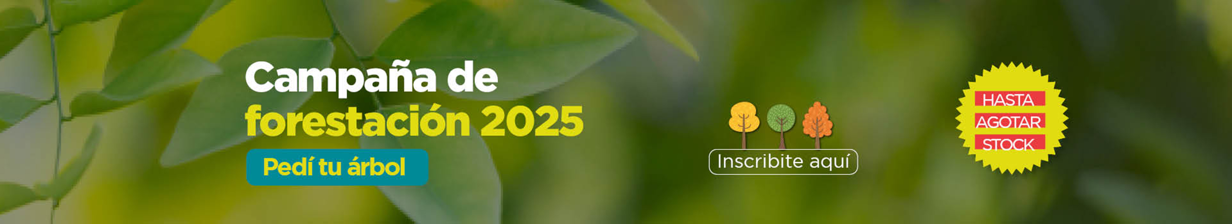 Forestación 2025
