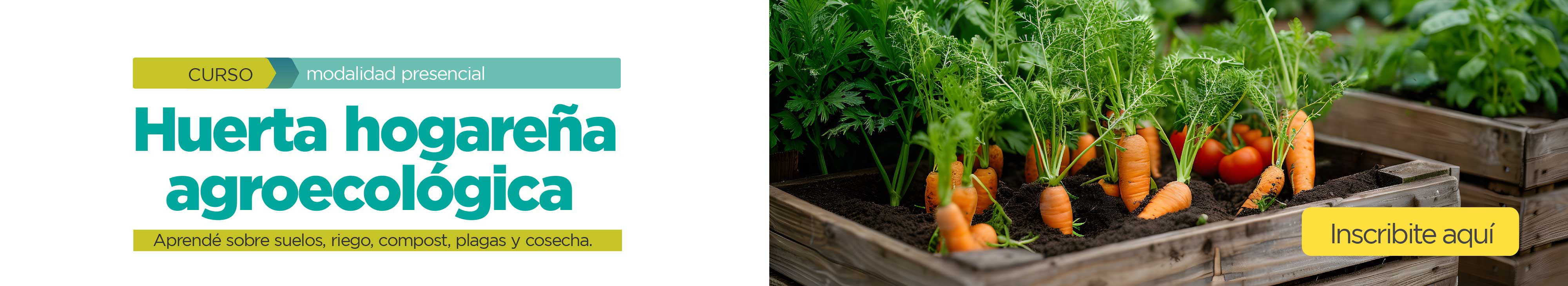 Huerta Hogareña Agroecológica
