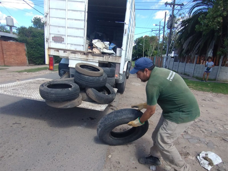 SIN_IMAGEN