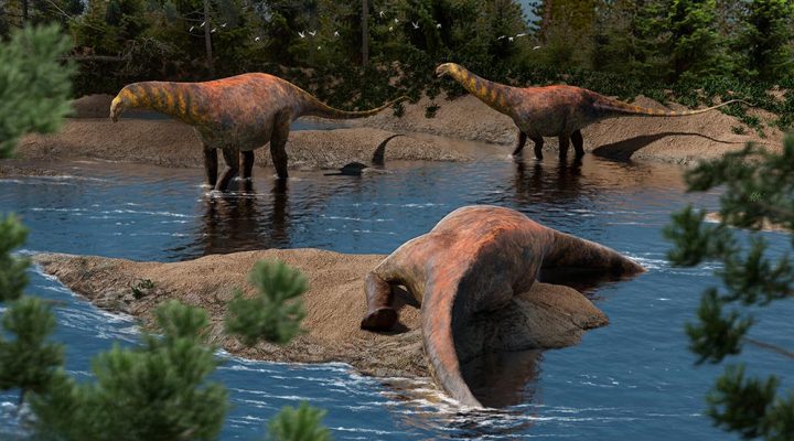 CONICET - Científicos en Neuquén descubrieron una nueva especie de dinosaurio saurópodo que vivió hace 95 millones de años