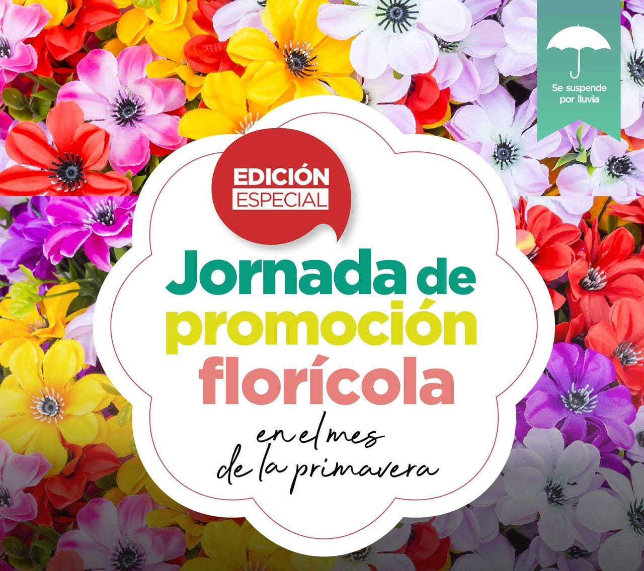 ¡Florencio Varela se vestirá de colores y aromas el en el Día de la Primavera con una Jornada Promoción Florícola por primera vez en la Casa de la provincia! 