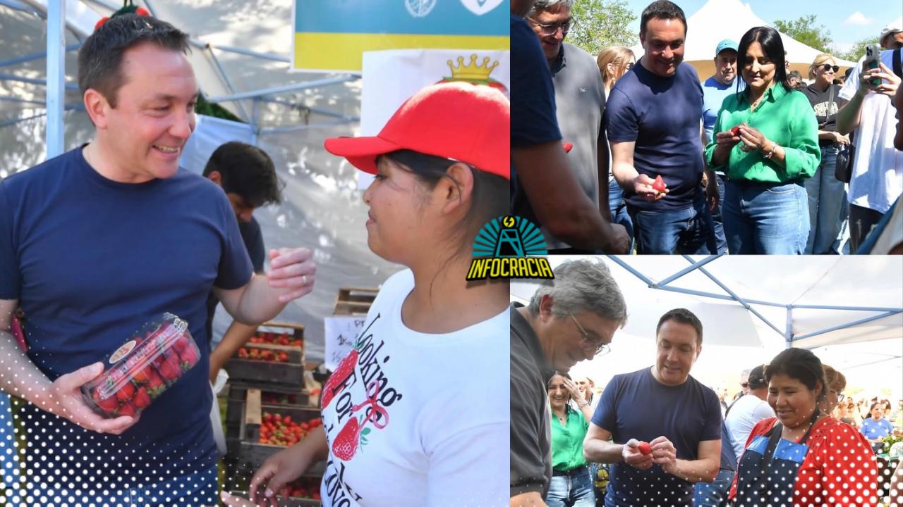 Una edición inolvidable de la Fiesta de la Frutilla: más de 80 mil personas asistieron al tradicional evento