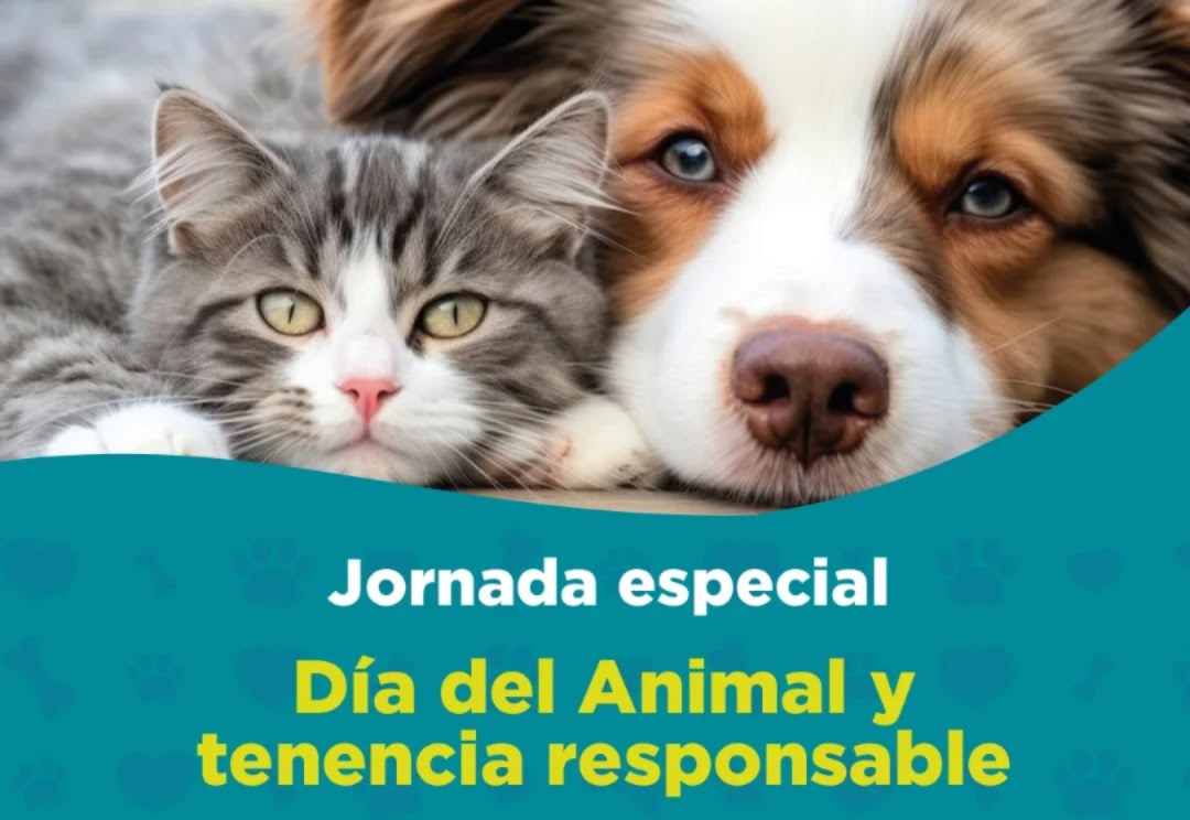Varela celebró el Día del Animal con servicios gratuitos y operativos en los barrios