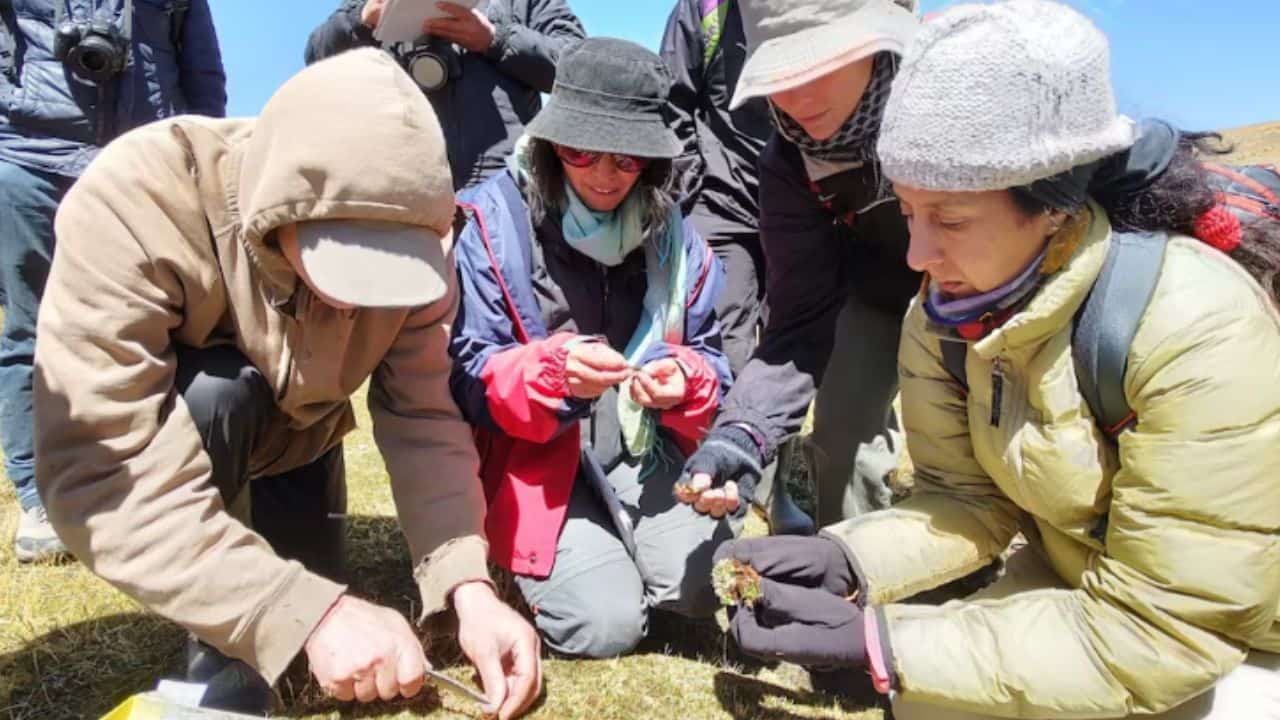 Una científica argentina entre las 25 mentes más brillantes del planeta