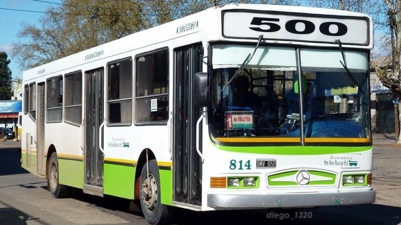Elecciones 2025 I Transporte público gratuito para ir a votar
