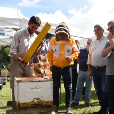 PBA aporta más del 50% de la miel que se genera en el país: Llega el 9° Encuentro Nacional de Criadores de Abejas Reinas