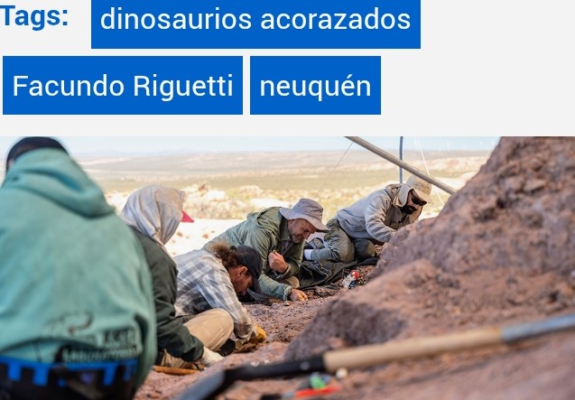 “Descubren nuevos restos de dinosaurios acorazados de 120 millones de años en Neuquén“